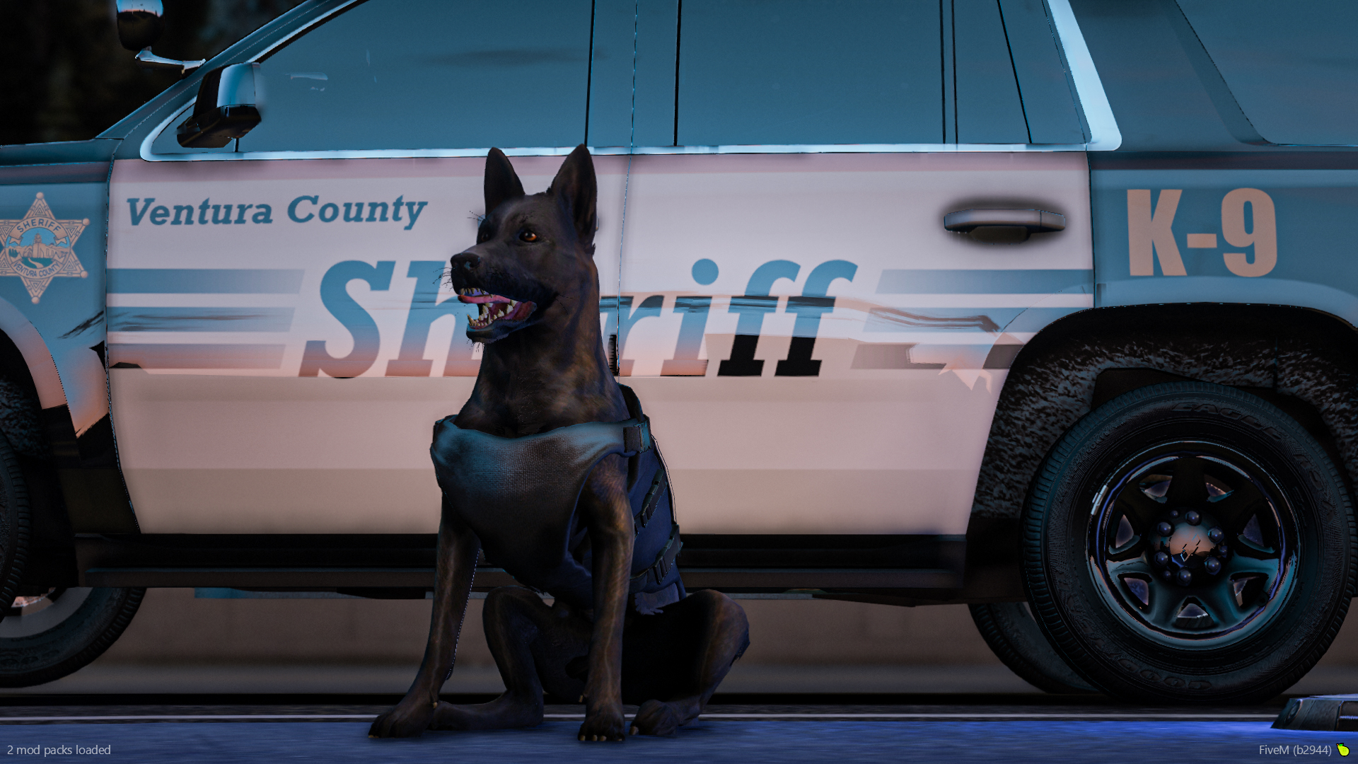 K9 Division